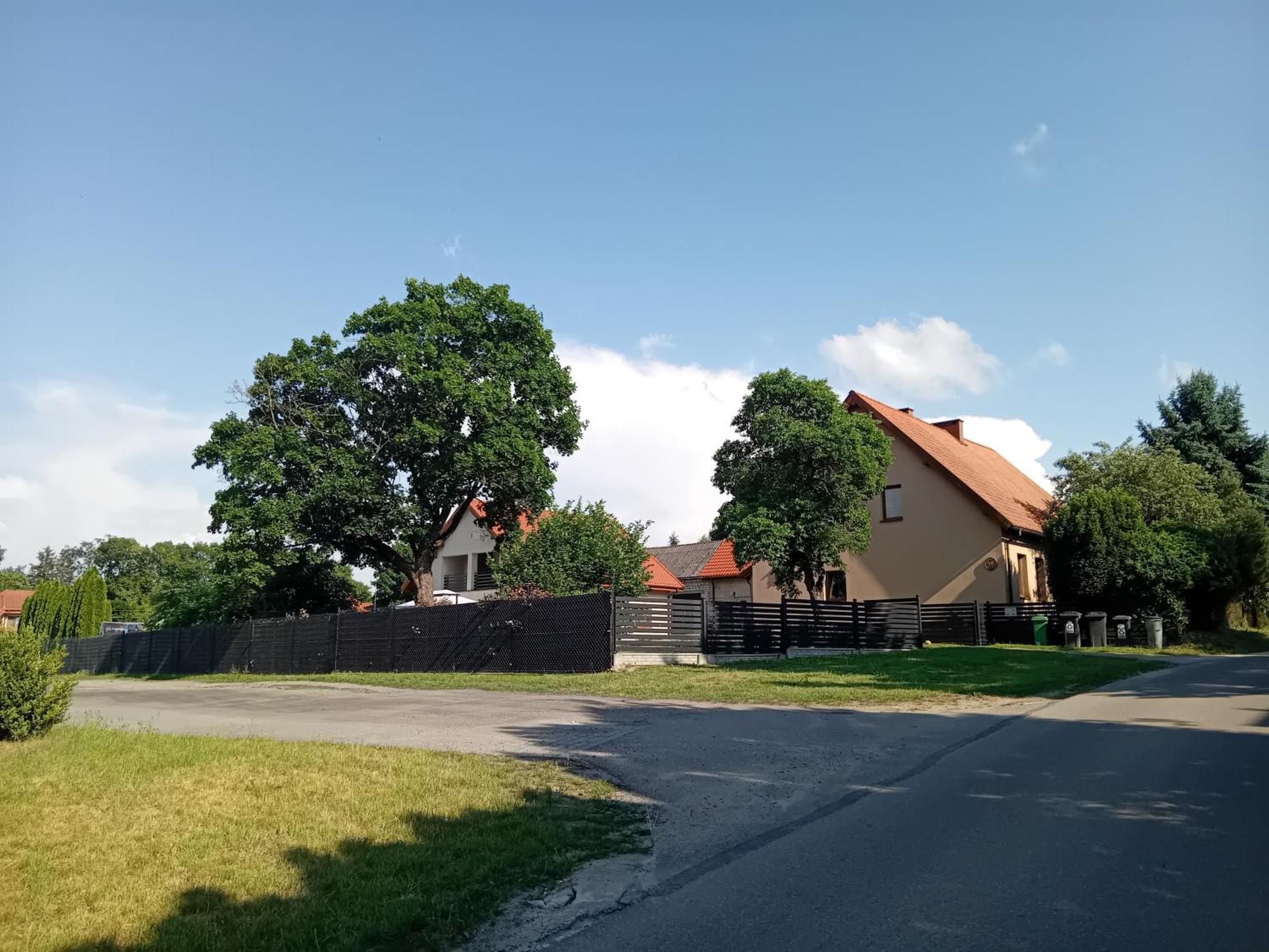 Pokoje Goscinne Sloneczny Klon Dabrowno Exterior foto