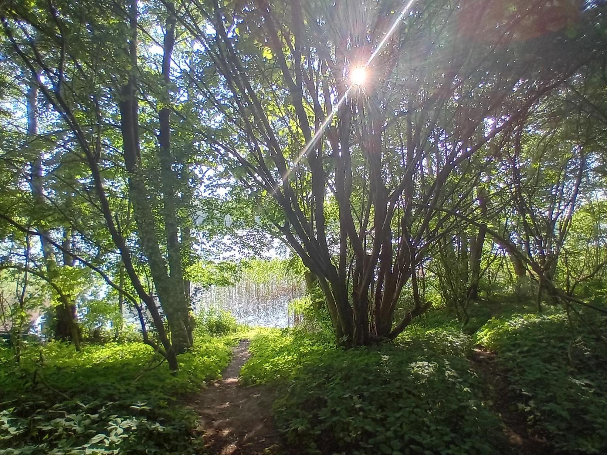 Pokoje Goscinne Sloneczny Klon Dabrowno Exterior foto
